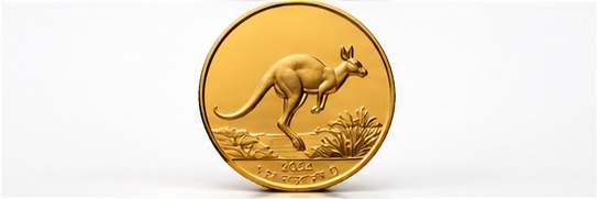 Australijski Kangur
